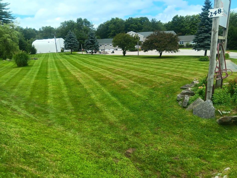 Lawns and landscaping