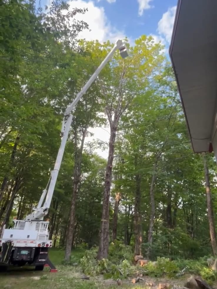 Bucket truck boom reaching into the canopy beside a house
