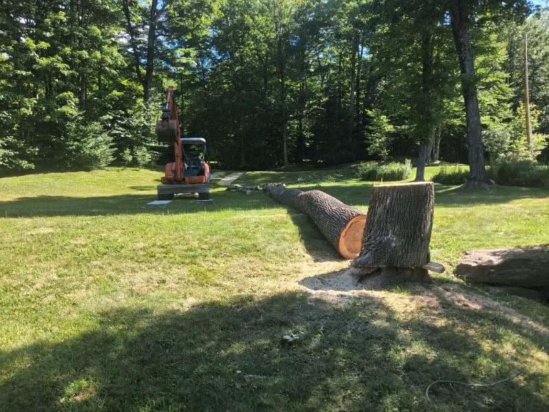 Big wood cut down and rounded up