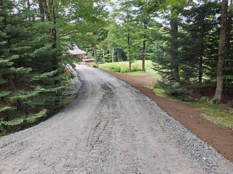 Drive rebuilt through the trees