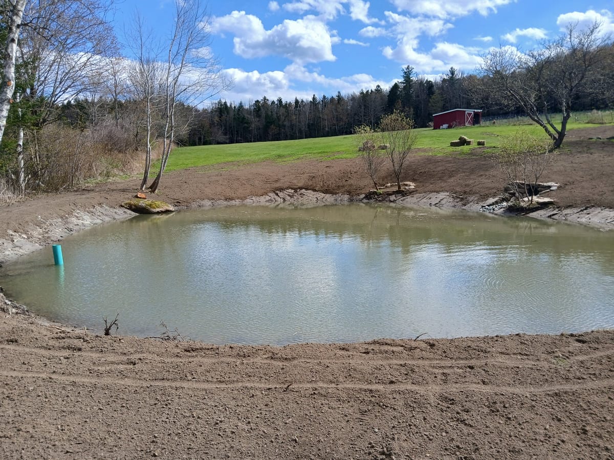 Excavation and pond work